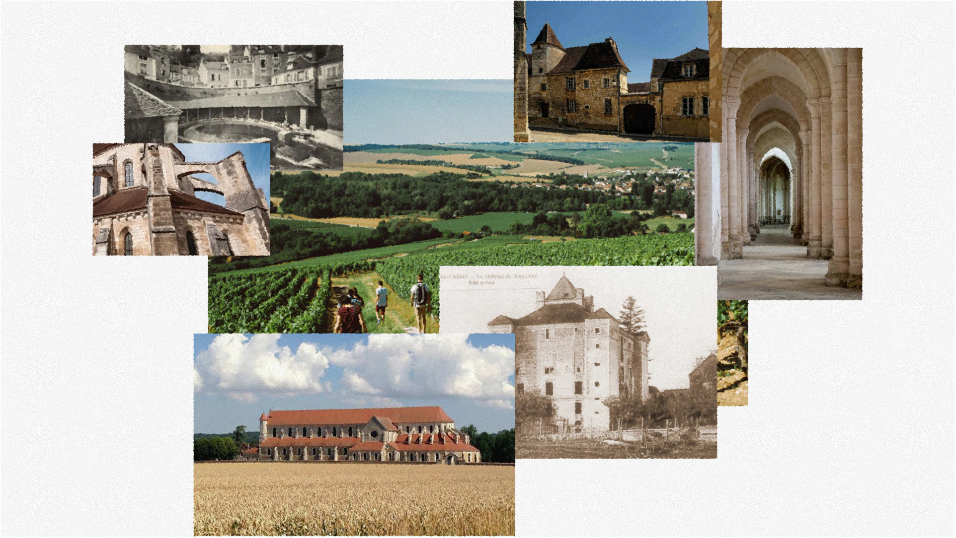 Contrées de Chablis brand identity image 4 by Kalypt Studio