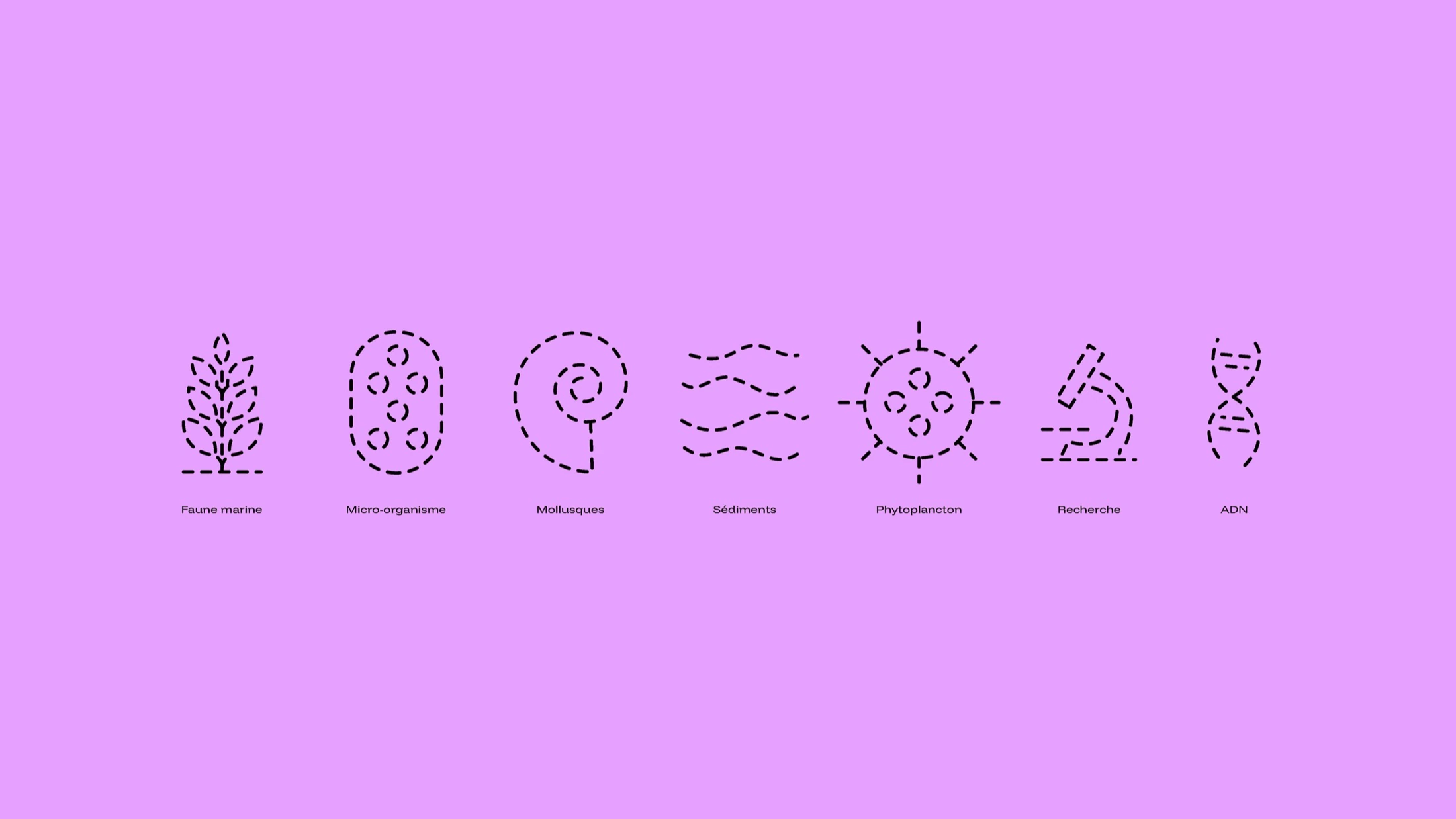 Ifremer brand identity image 7 by Kalypt Studio